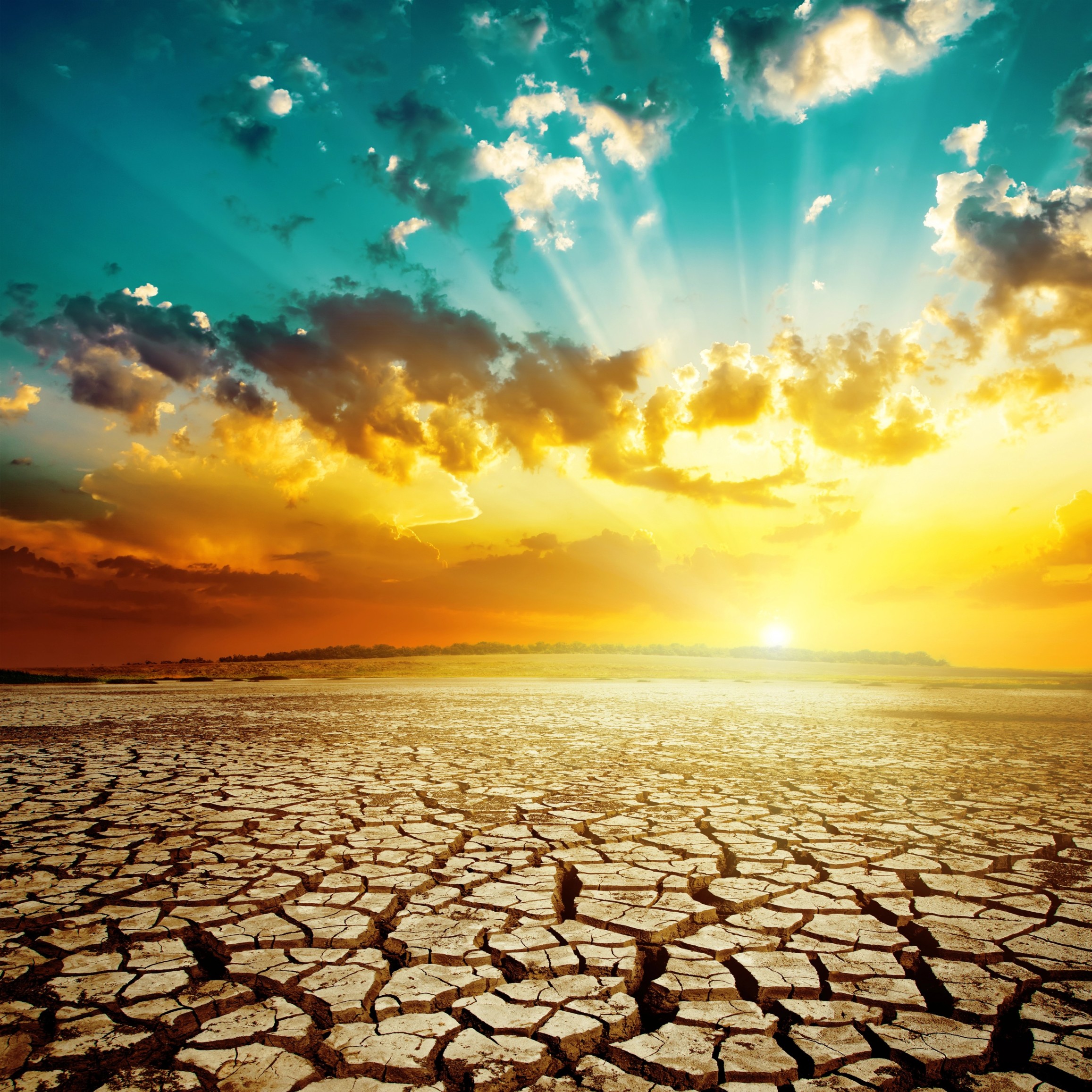From Vectors to Vulnerability: Climate Change's Role in Dermatology