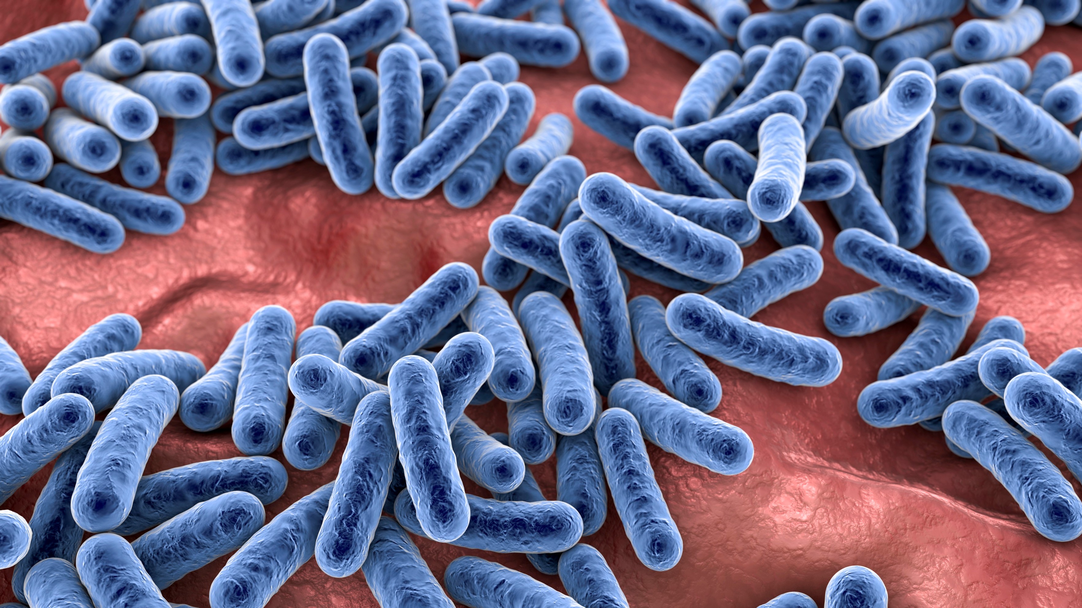 Dietary and Microbiome-Directed Adjuncts in Atopic Dermatitis: Prebiotics, Probiotics, Synbiotics, and Parabiotics